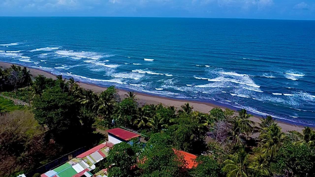 H Et L Daire Tortuguero Dış mekan fotoğraf