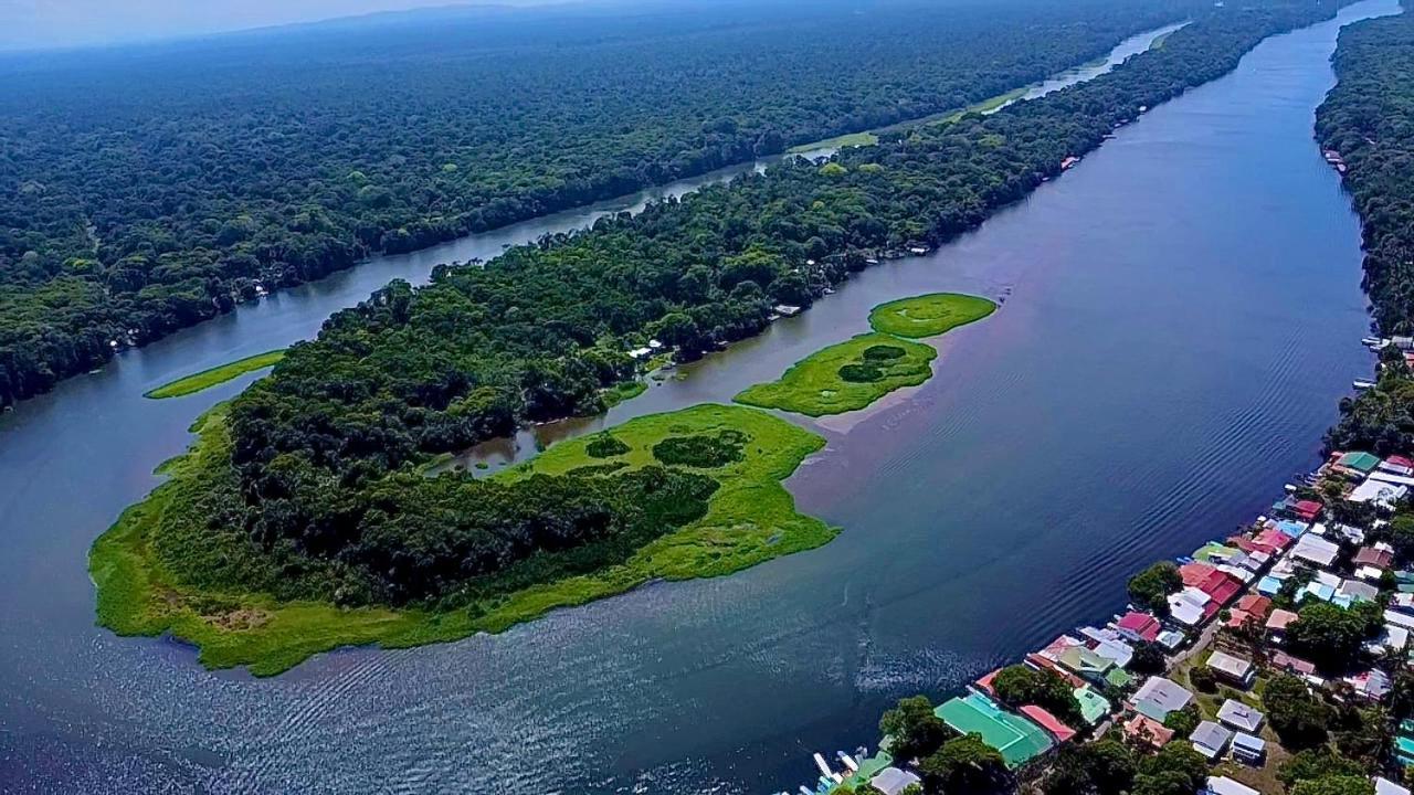H Et L Daire Tortuguero Dış mekan fotoğraf