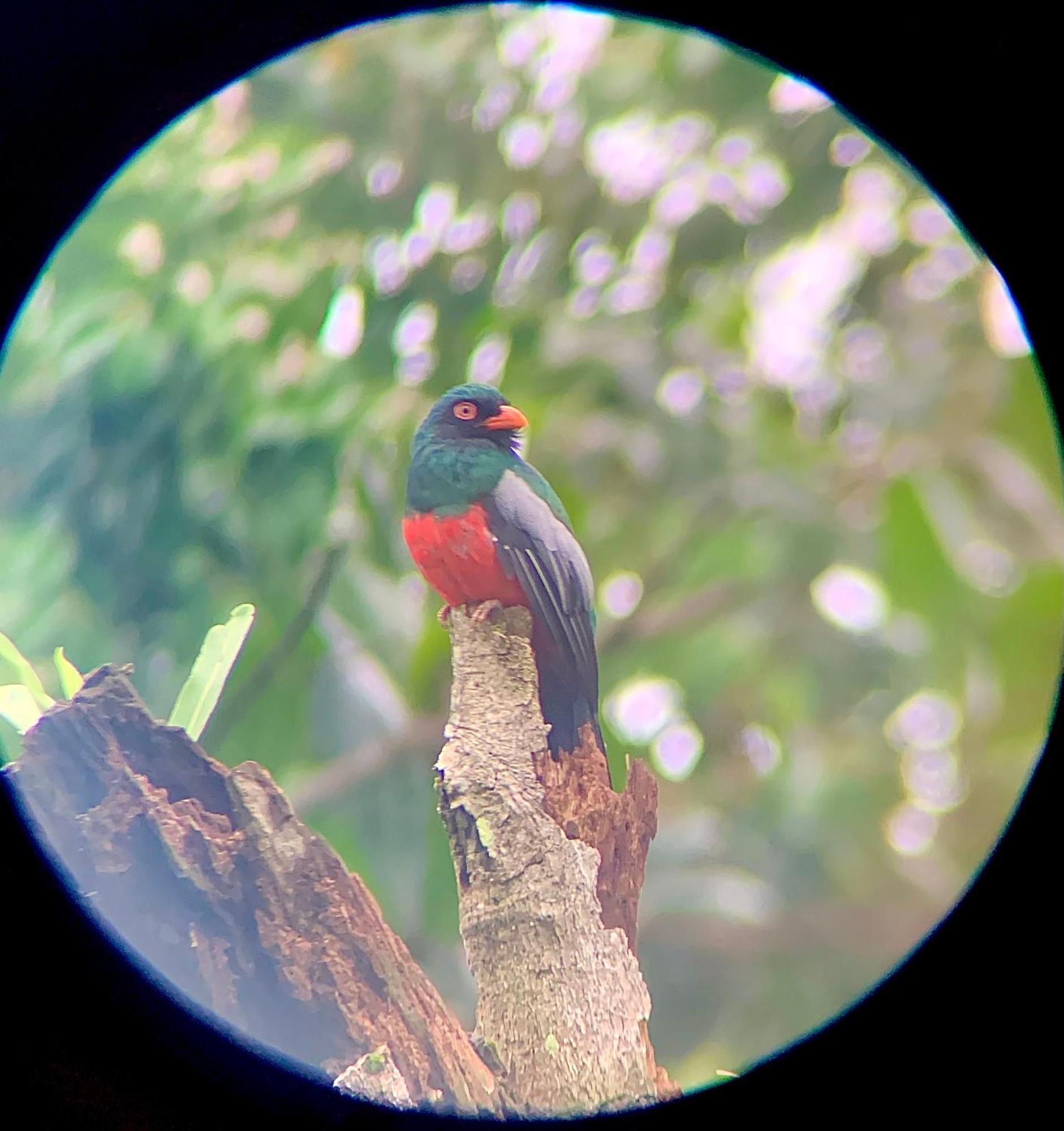 H Et L Daire Tortuguero Dış mekan fotoğraf